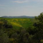 Toscana 2008 - Le Crete senesi